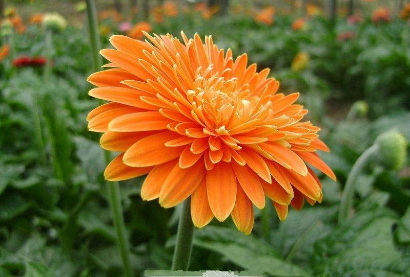 1553073369129538.png 圖片7.png